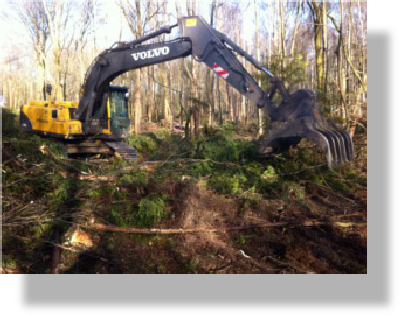 Clearing a forester after timber has been harvested