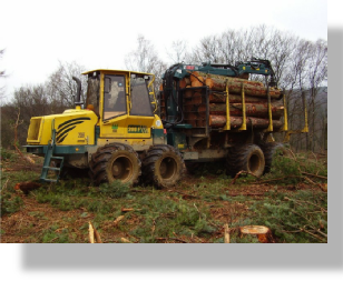 Treewood Harvesting Timber Forwarder