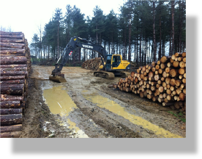 Treewood Harvesting Excavator for Access Engineering 