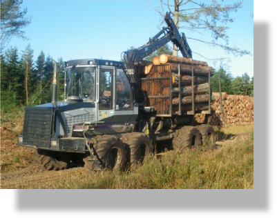 A fully loaded timber forwarder
